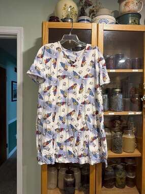 Vintage Basic Editions Intimates Sleeping Bear & Alarms Nightshirt One Size